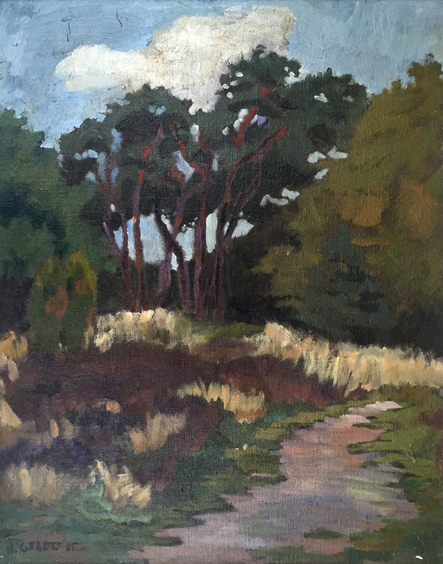 Abend in der Markusheide